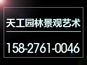 칤@־^ˇg(sh)޹˾